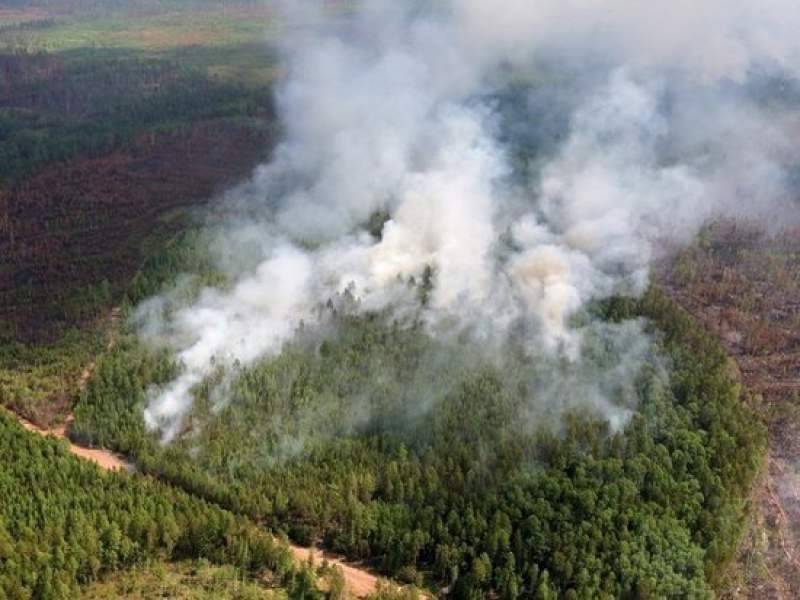 В Росгидрометцентре дали прогноз по лесным пожарам