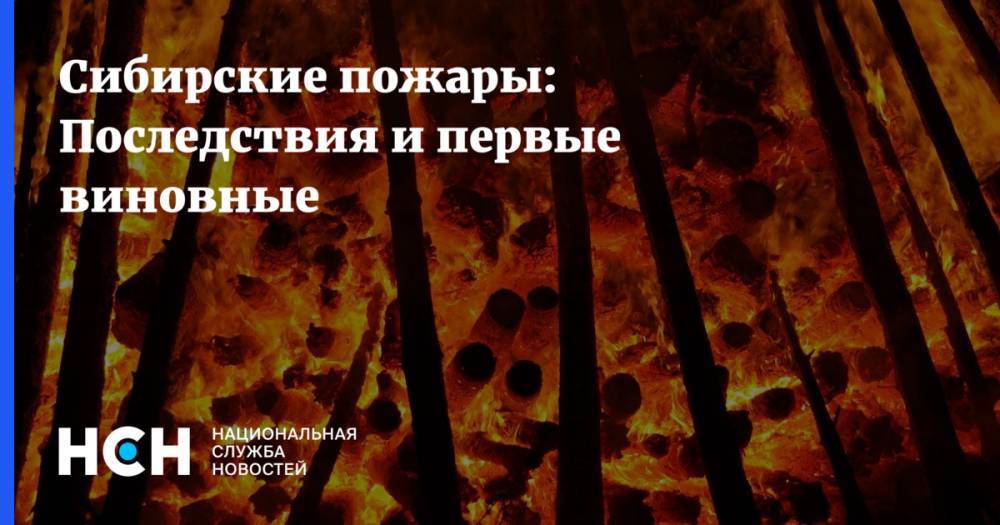 Сибирские пожары: Последствия и первые виновные
