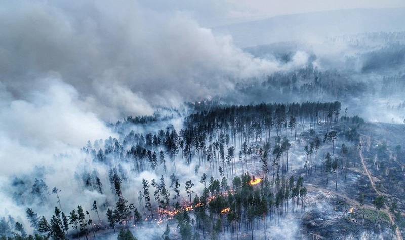 Россия обогнала Анголу, Зимбабве и Конго по масштабам лесных пожаров