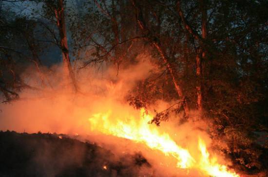 В МЧС не исключили принятия помощи США в тушении лесных пожаров