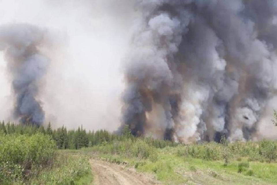Из-за лесных пожаров режим ЧС ввели в Якутии
