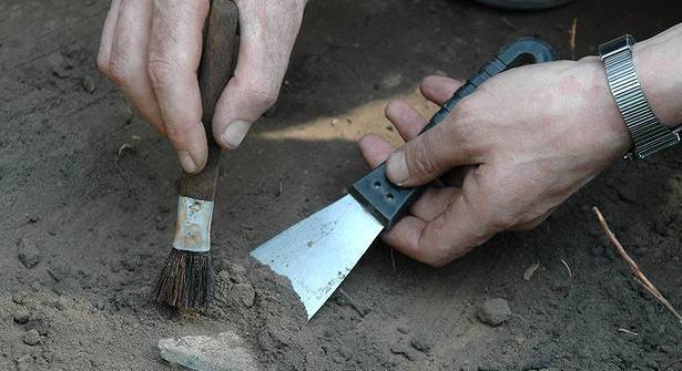 Археологи в Польше нашли клад из тысячи монет