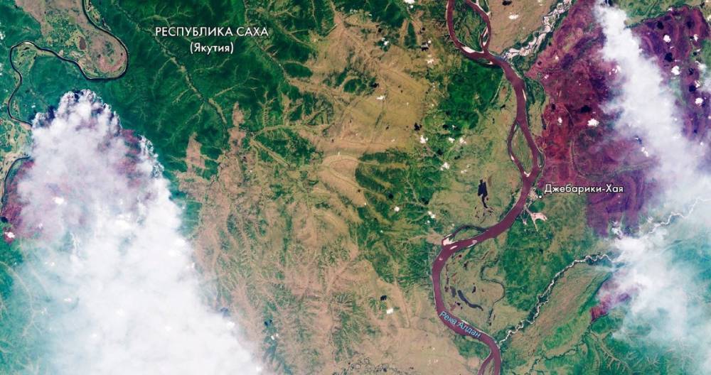 Роскосмос опубликовал спутниковые снимки очагов лесных пожаров в Сибири