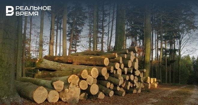 Эксперты рассказали, сколько леса Россия потеряла в 2018 году