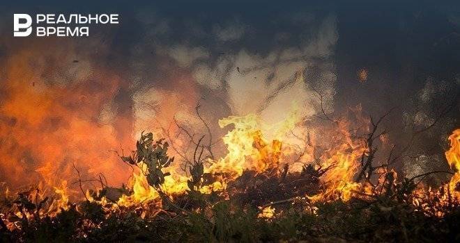 В Сибири потушили крупные очаги пожаров
