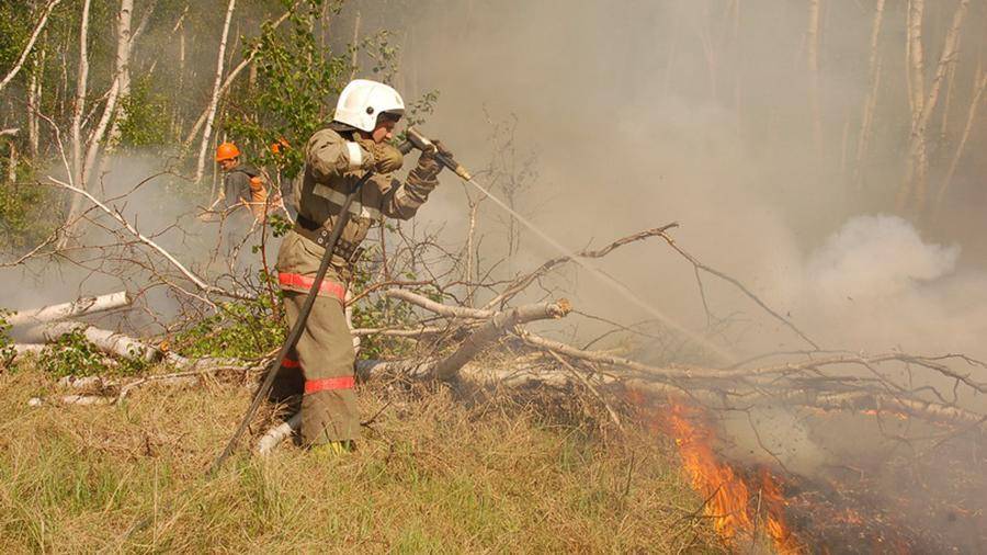 Площадь природных пожаров в Якутии превысила 1,2 млн га