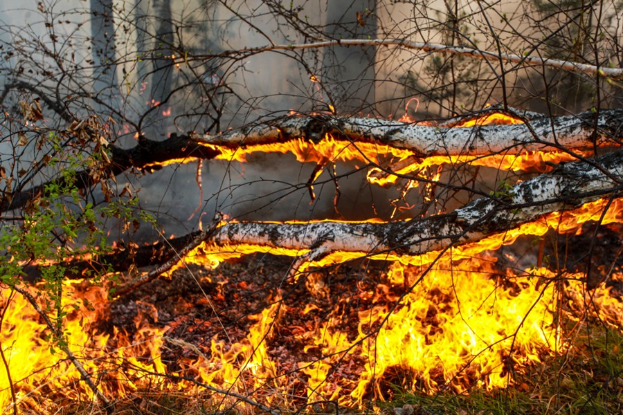 Ухудшение ситуации с лесными пожарами увидели в Росгидромете