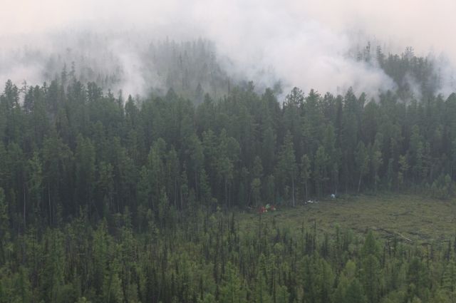Дым от горящих сибирских лесов достиг Аляски и Канады