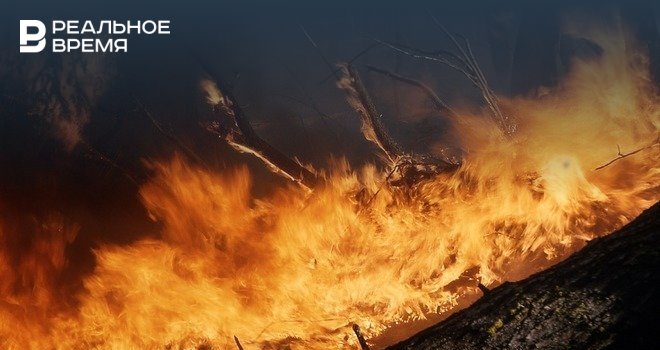 В Башкирии потушили единственный природный пожар в регионе - realnoevremya.ru - Башкирия - район Зилаирский