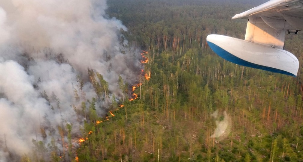 Названа причина распространения огня в лесах Сибири