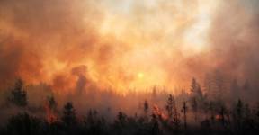 Для тушения пожаров в Сибири вызовут искусственные дожди