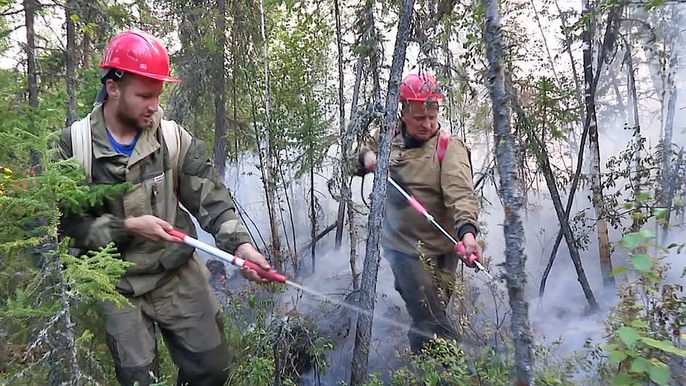МЧС назвало причину распространения пожаров в Сибири