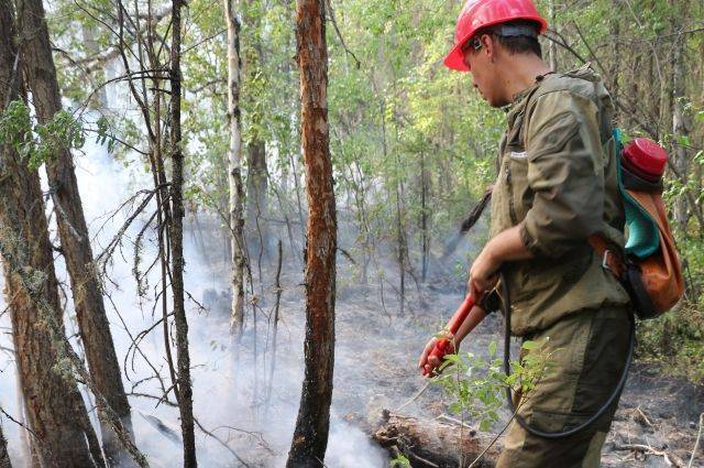 Лесные пожары в Якутии распространились на площади более 1 млн гектаров