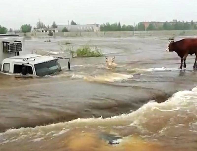 В Бурятии река Джида «поглотила» грузовик, внедорожник и корову