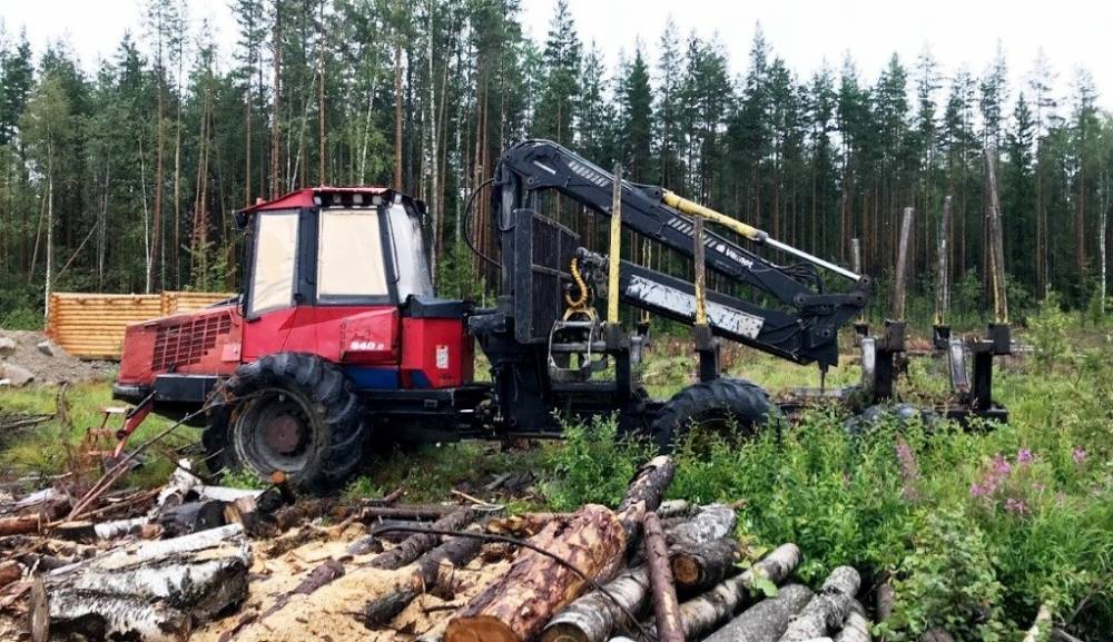 Медведев заявил о конфискации орудий труда нелегальных лесорубов