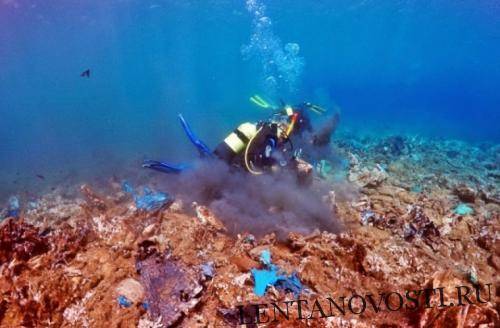 В Греции обнаружили «залив, полный пластиковых кораллов»