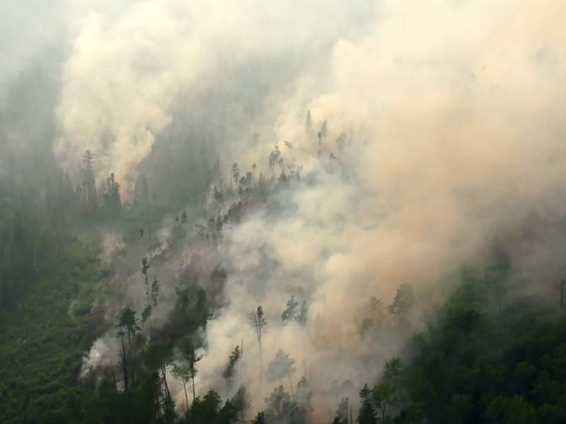 Дым от лесных пожаров окутал более 600 городов и посёлков