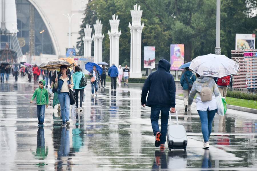 Небольшие дожди ожидаются в Москве в пятницу