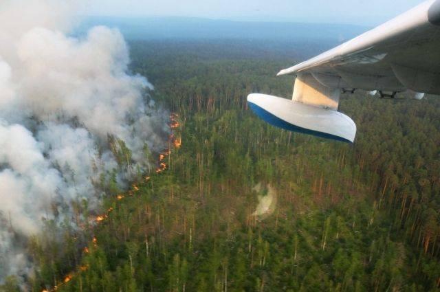 Военная авиация за сутки потушила 60 крупных лесных пожаров в Сибири