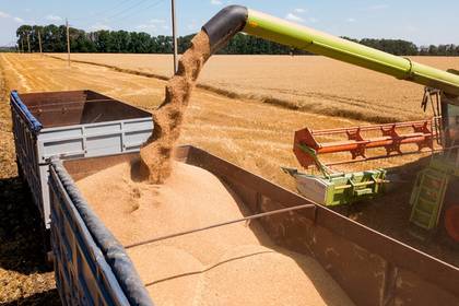 Российский регион нарастит производство зерна в полтора раза