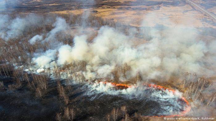 Для борьбы с лесными пожарами в Сибири начнут вызывать искусственные осадки