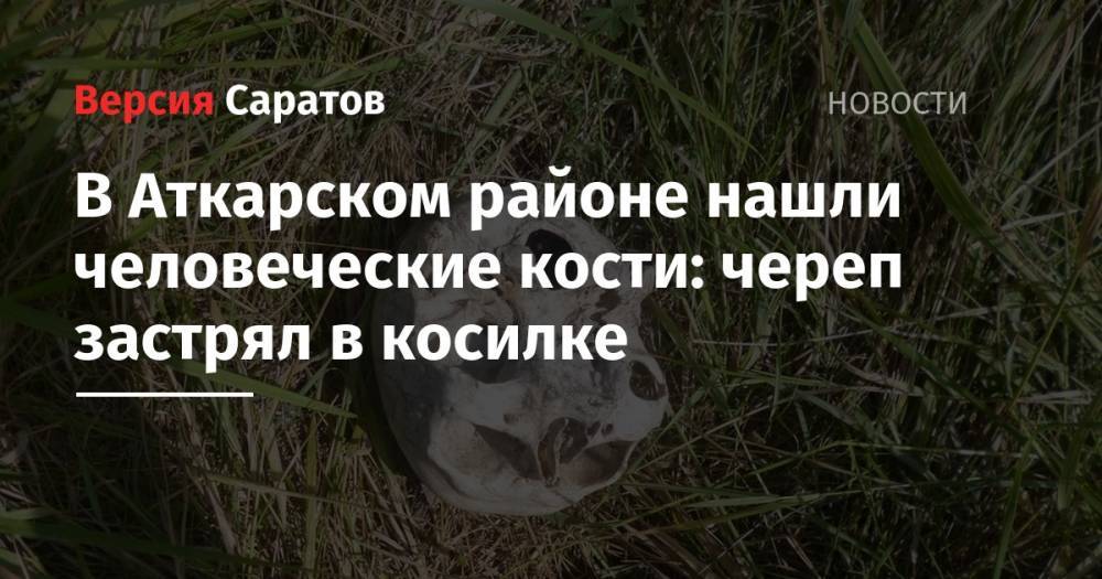 В Аткарском районе нашли человеческие кости: череп застрял в косилке