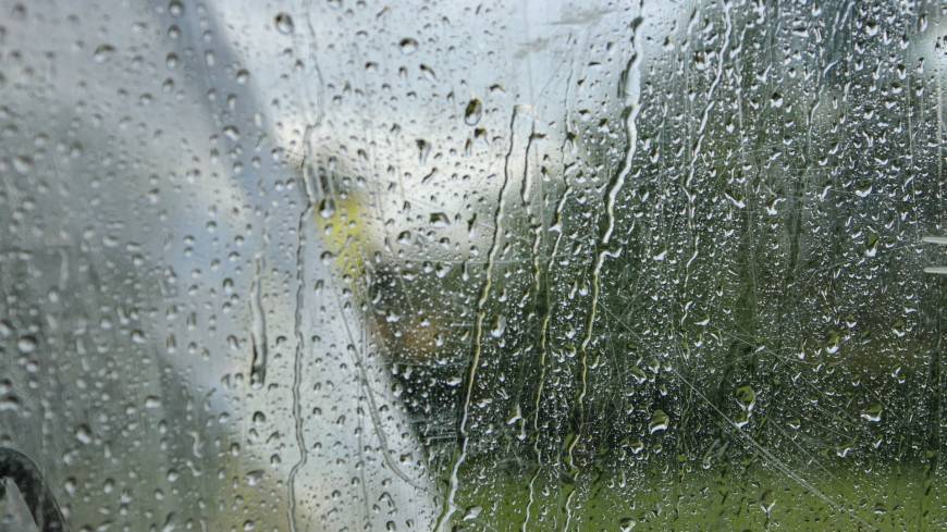 Пасмурно и дожди: синоптики рассказали о погоде в Москве в пятницу