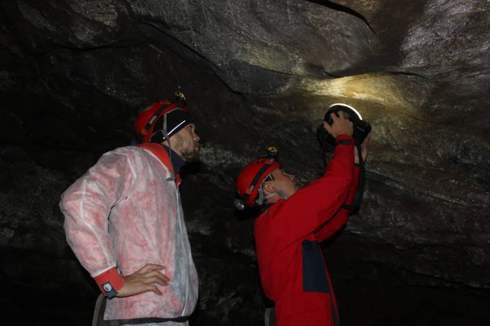В пещере Шульган-Таш ученые обнаружили «макароны» // КУЛЬТУРА | новости башинформ.рф