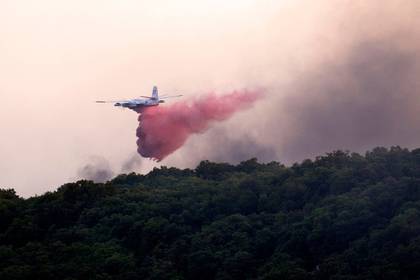 Самолет разбился во время тушения лесного пожара во Франции