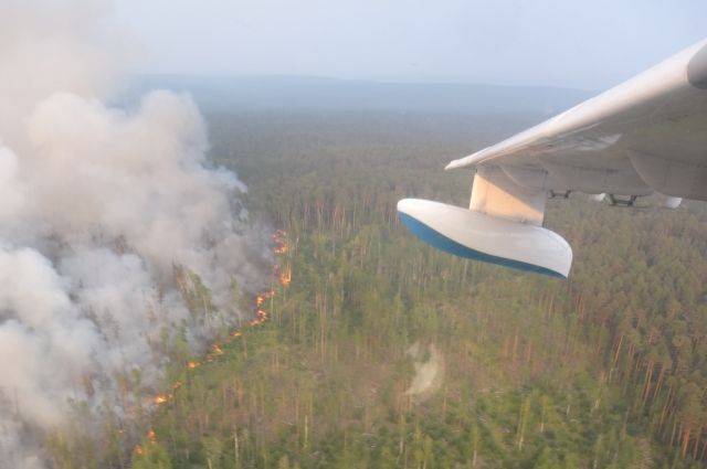 Ученые: восстановление лесов Сибири после пожаров займет от 60 до 100 лет