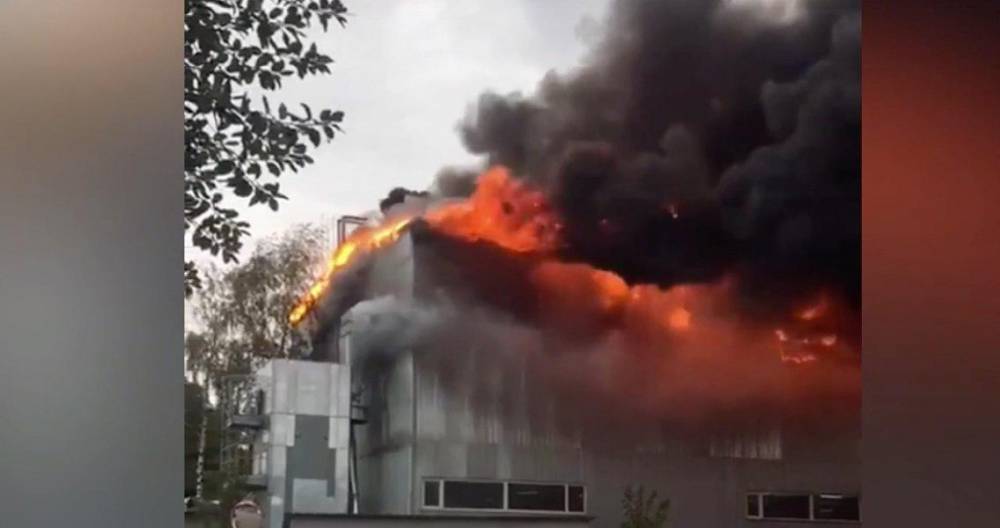 В МЧС уточнили площадь пожара в Одинцове