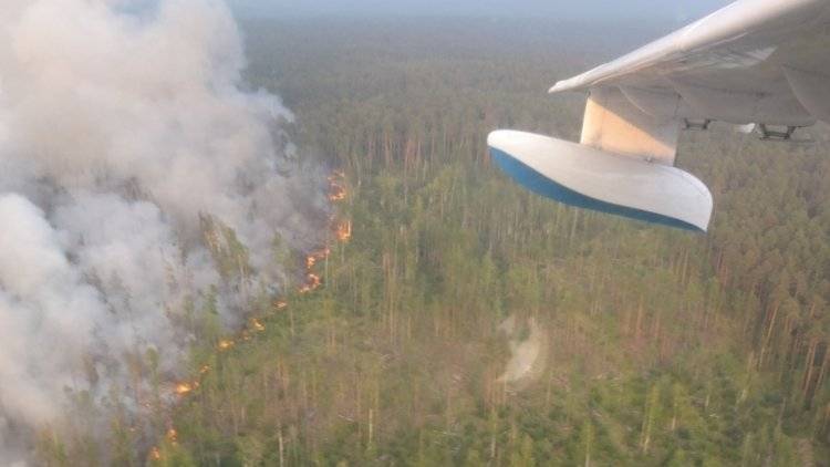 Прирост площадей лесных пожаров в трех районах Сибири сократился в пять раз