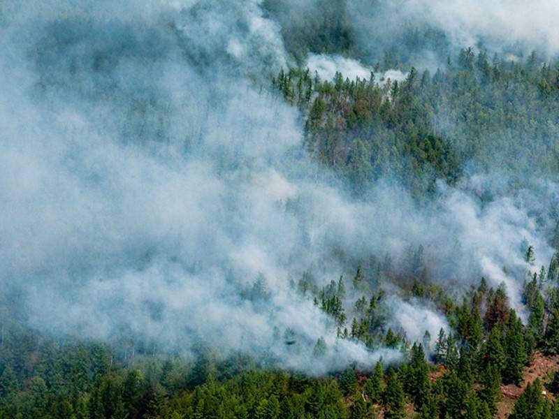 Корешков: лесные пожары в Сибири — это практически катастрофа
