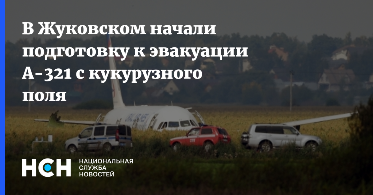 В Жуковском начала подготовку к эвакуации А-321 с кукурузного поля