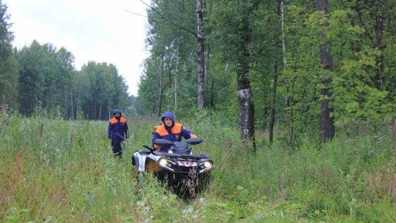 Пропавшую в Нижегородской области девочку ищут пять отрядов волонтеров