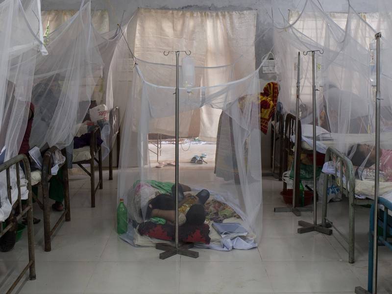 Число жертв лихорадки денге на Филиппинах возросло до 807