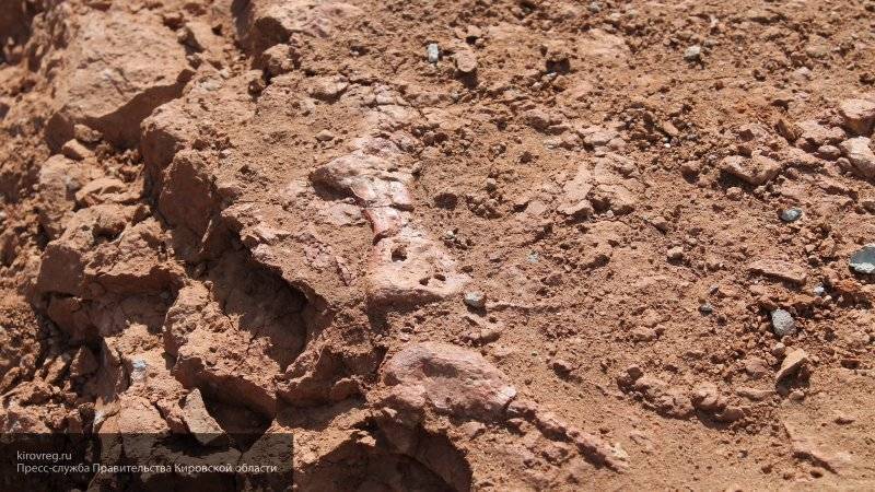 Палеонтологи обнаружили в Марокко останки самого древнего стегозавра в мире
