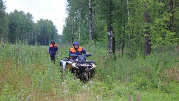 Волонтеры и спасатели вторые сутки ищут ребенка, пропавшего в Нижегородской области
