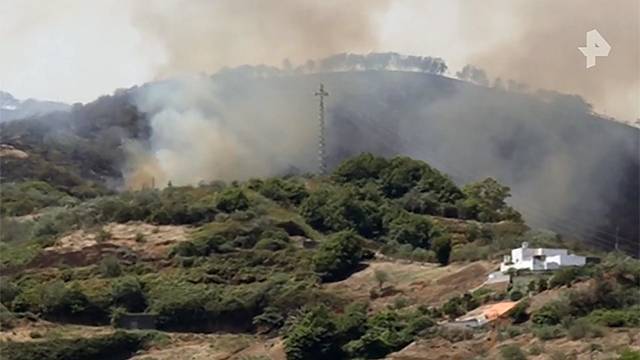 Лесные пожары на Канарах спровоцировал французский турист. РЕН ТВ