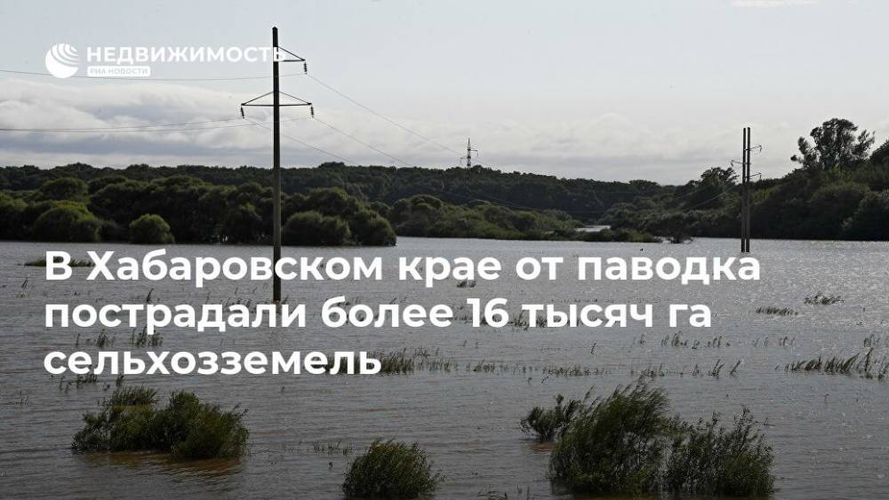 В Хабаровском крае от паводка пострадали более 16 тысяч га сельхозземель