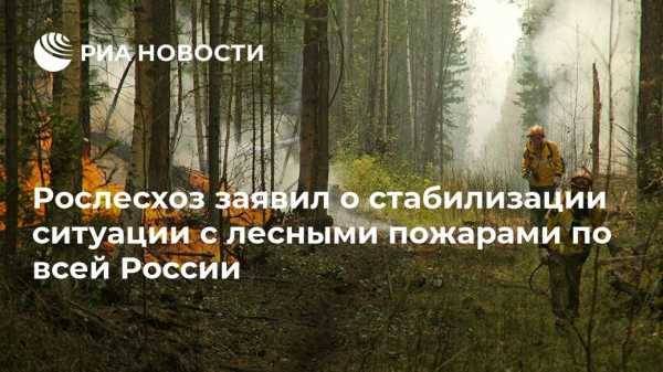 Рослесхоз заявил о стабилизации ситуации с лесными пожарами по всей России