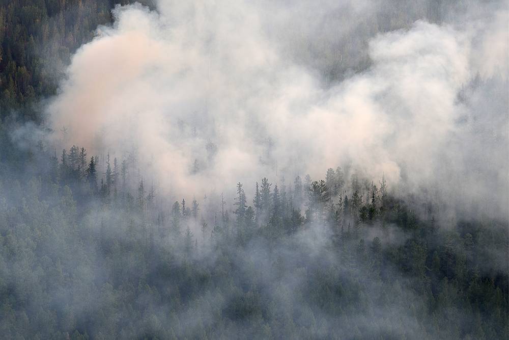 Ущерб от лесных пожаров в России составил 7 млрд рублей