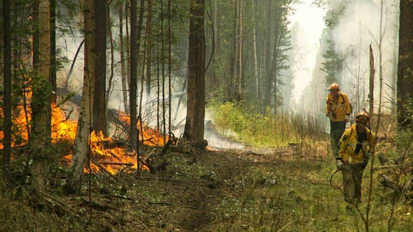 В Якутии потушили 217 лесных пожаров с начала пожароопасного сезона — РТ на русском