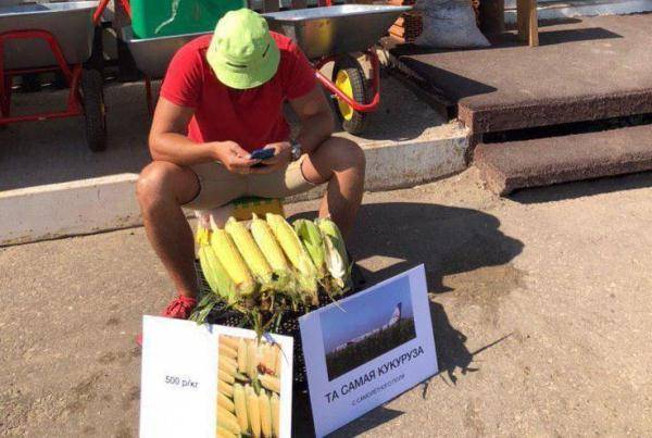 Житель Саратова продаёт кукурузу с места аварийной посадки А321