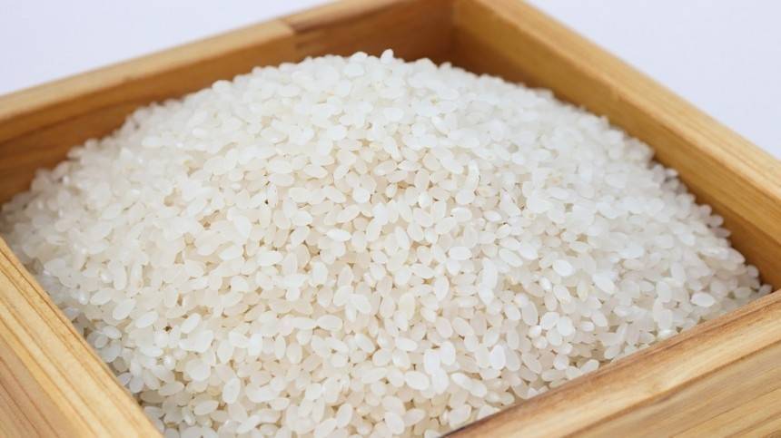 Видео: 300 тонн риса с клещами обнаружили в Петербурге | Новости | Пятый канал