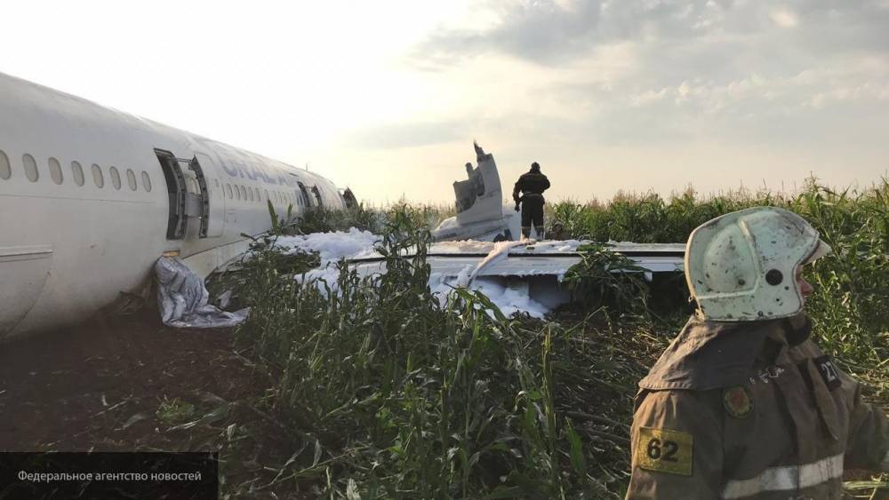 Стала известна судьба аварийно севшего в Подмосковье самолета A321