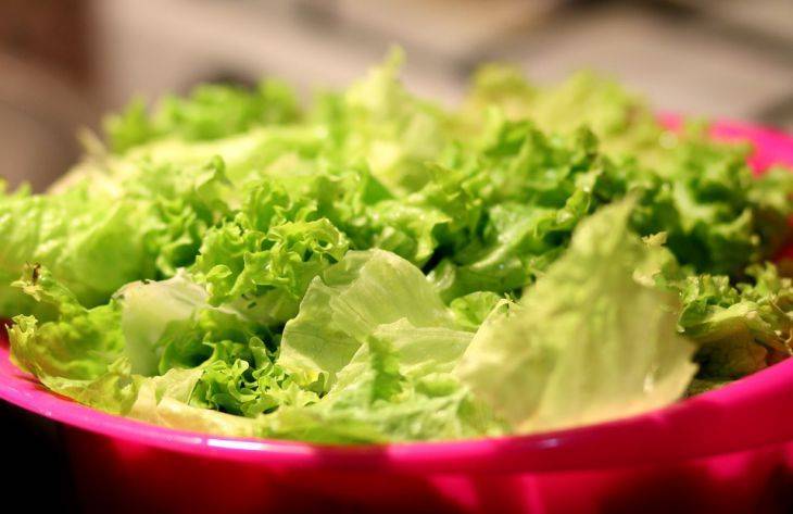 Эксперты перечислили полезные свойства салата — Информационное Агентство "365 дней"