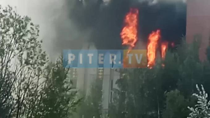 Пожар в Невском районе распространился в складском здании на площади 500 метров