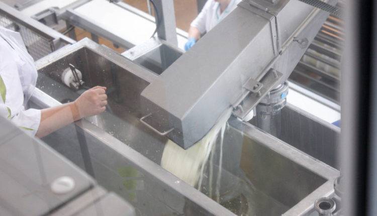 Жээнбеков побывал на открытии первого молокозавода в Нарыне