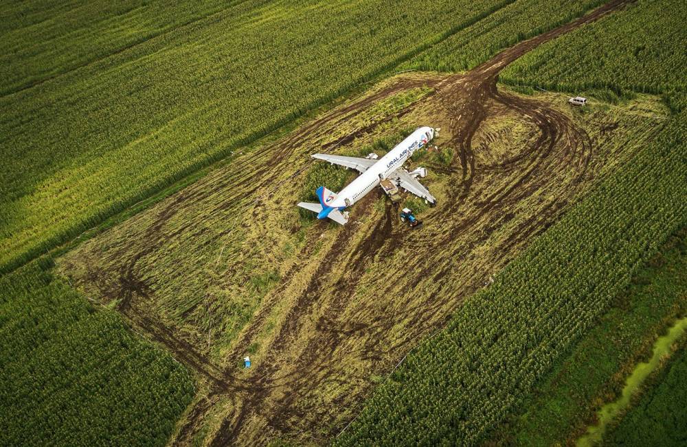«Авария из-за птиц может повториться в любой момент на любом российском аэродроме» — эксперты